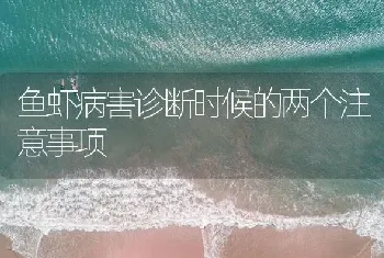 鱼虾病害诊断时候的两个注意事项