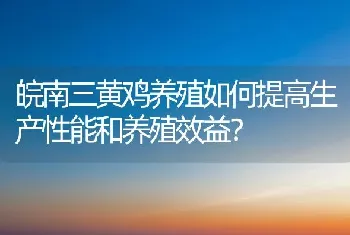 皖南三黄鸡养殖如何提高生产性能和养殖效益?