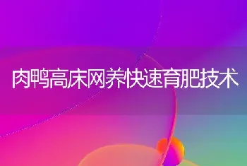 肉鸭高床网养快速育肥技术