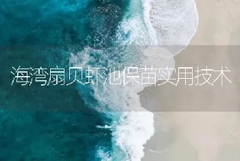 海湾扇贝虾池保苗实用技术