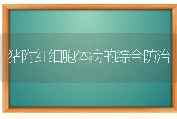 猪附红细胞体病的综合防治