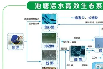 一线实战专家系统解析水质老化问题