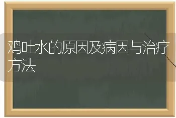 鸡吐水的原因及病因与治疗方法