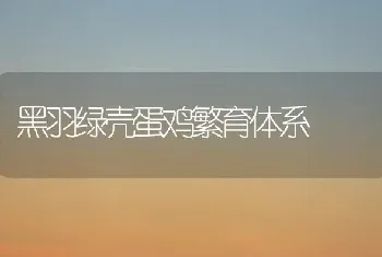 黑羽绿壳蛋鸡繁育体系