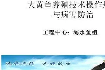 大黄鱼养殖技术操作规程与病害防治技术