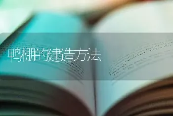 鸭棚的建造方法