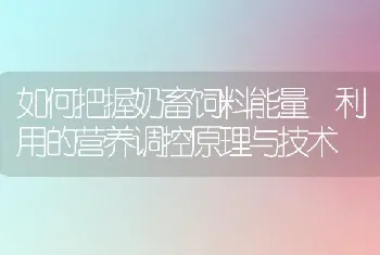 如何把握奶畜饲料能量 利用的营养调控原理与技术