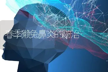 春季獭兔鼻炎的防治