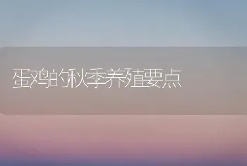 蛋鸡的秋季养殖要点