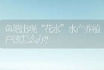 鱼塘出现“花水”水产养殖户该怎么办?