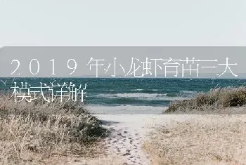 2019年小龙虾育苗三大模式详解