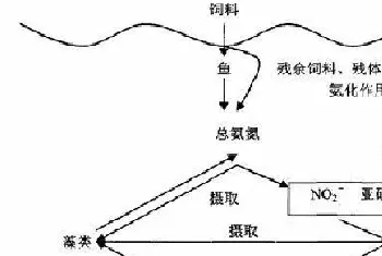 养殖池塘中亚硝酸盐的成因及防治措施