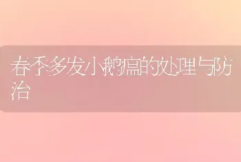 春季多发小鹅瘟的处理与防治