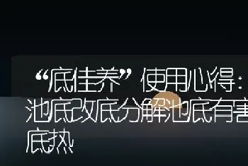 “底佳养”使用心得：养护池底改底分解池底有害物质解底热