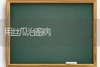 用丝瓜治畜病