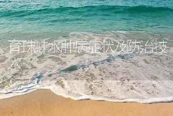 育珠蚌水肿病症状及防治技术