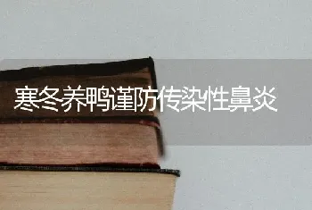 寒冬养鸭谨防传染性鼻炎