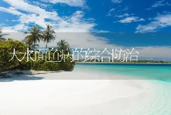 大水面鱼病的综合防治