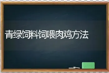 青绿饲料饲喂肉鸡方法