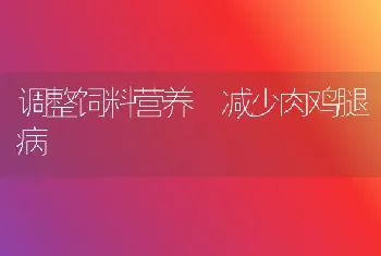 调整饲料营养 减少肉鸡腿病