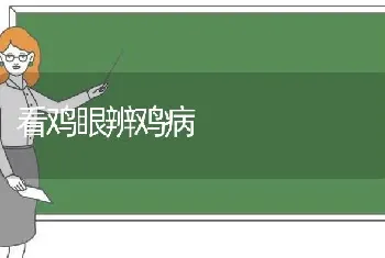 看鸡眼辨鸡病