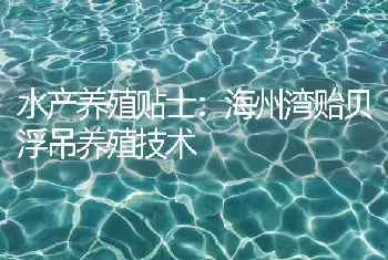 水产养殖贴士：海州湾贻贝浮吊养殖技术