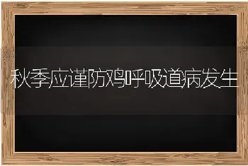 秋季应谨防鸡呼吸道病发生