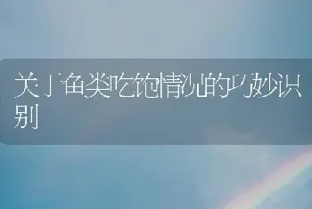 关于鱼类吃饱情况的巧妙识别