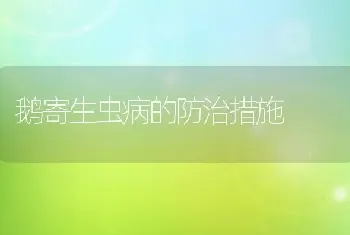 鹅寄生虫病的防治措施