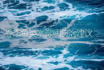 春季鱼类水霉病防治建议