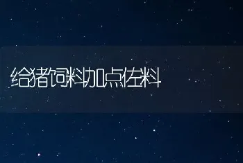 给猪饲料加点佐料