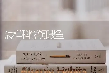 怎样科学饲喂鱼