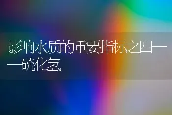 影响水质的重要指标之四——硫化氢