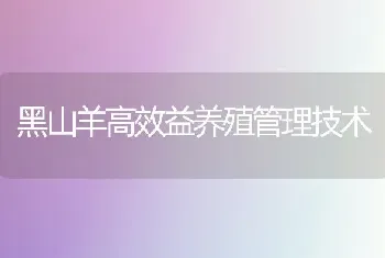 黑山羊高效益养殖管理技术