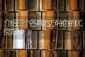 介绍三个各具地方特色的优良鸡种