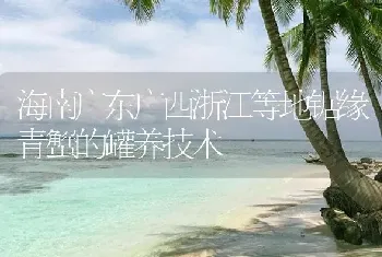 海南广东广西浙江等地锯缘青蟹的罐养技术