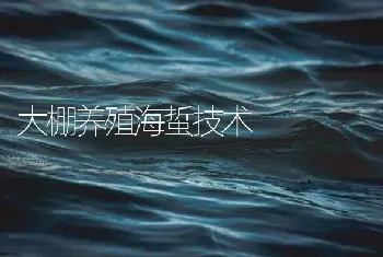 大棚养殖海蜇技术