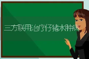 三方联用治疗仔猪水肿病