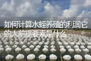 如何计算水蛭养殖的利润它的大前提要素是什么