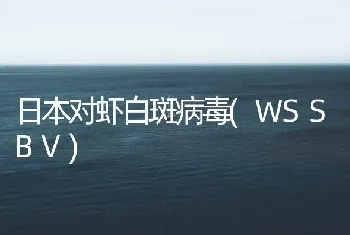 日本对虾白斑病毒(WSSBV)