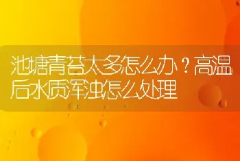 池塘青苔太多怎么办?高温后水质浑浊怎么处理