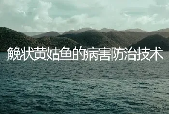 鮸状黄姑鱼的病害防治技术