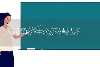 大黄鱼仿生态养殖技术