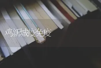 红糖在养鸡中的使用