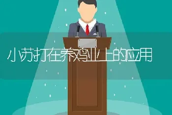 小苏打在养鸡业上的应用