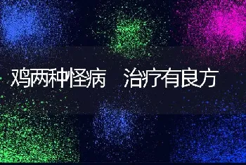 鸡两种怪病 治疗有良方