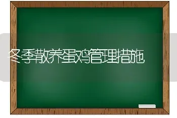 冬季散养蛋鸡管理措施