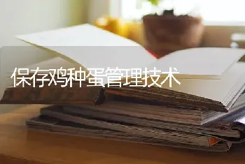 保存鸡种蛋管理技术