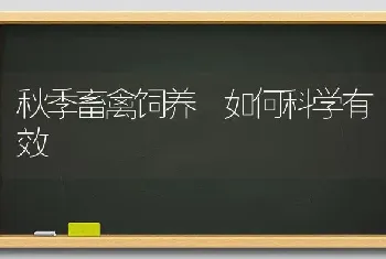 秋季畜禽饲养 如何科学有效