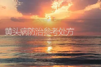 黄头病防治参考处方